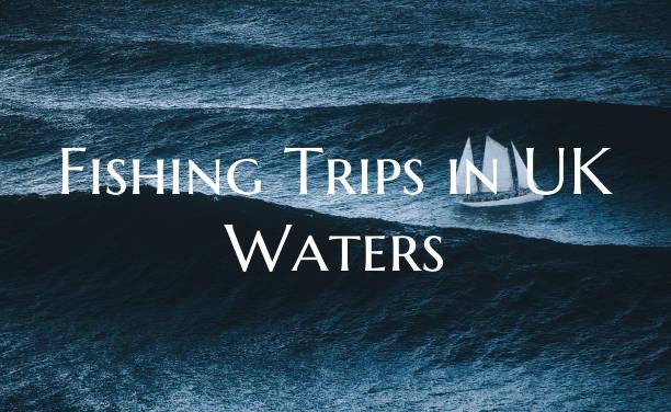 Fishing Trips in UK Waters